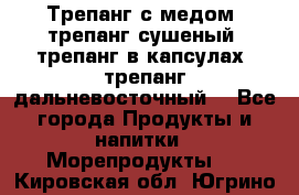 Трепанг с медом, трепанг сушеный, трепанг в капсулах, трепанг дальневосточный. - Все города Продукты и напитки » Морепродукты   . Кировская обл.,Югрино д.